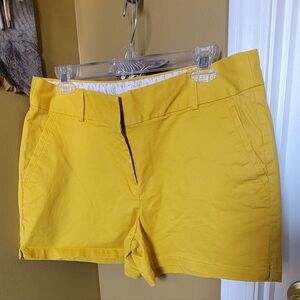 Ann Taylor Loft ladies shorts. SIZE 8